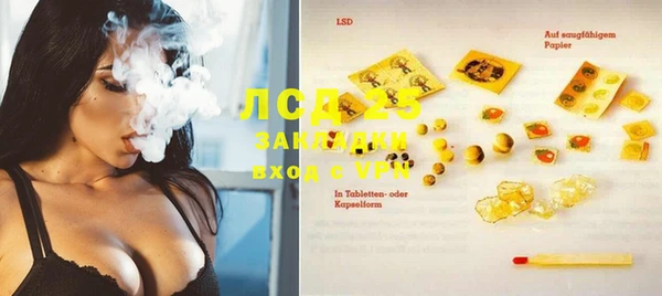 шишки Баксан