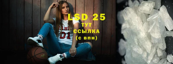 шишки Баксан