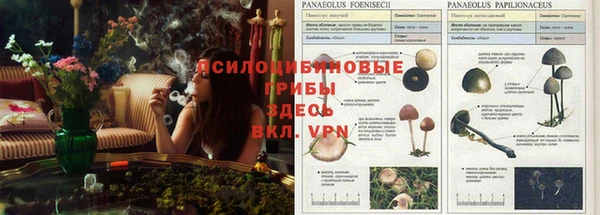 шишки Баксан