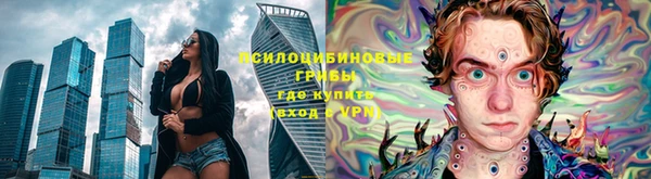 шишки Баксан