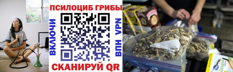 Псилоцибиновые грибы Cubensis где купить наркоту Купино